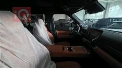 بي واي دي ليوبارد 7